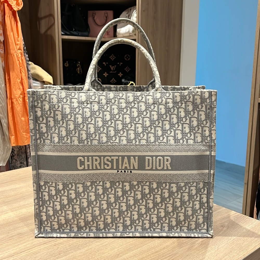 Large Dior Book Tote Gray
